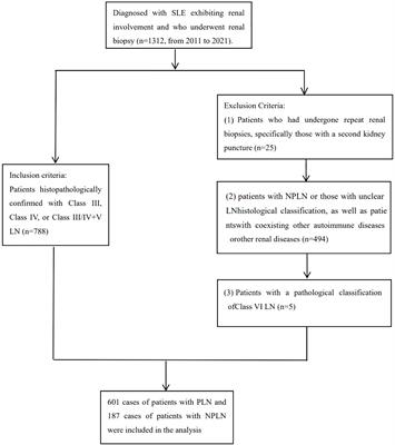 Machine learning models predicts risk of proliferative lupus nephritis